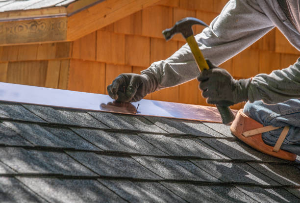 Best Green or Eco-Friendly Roofing Solutions  in Venice, FL